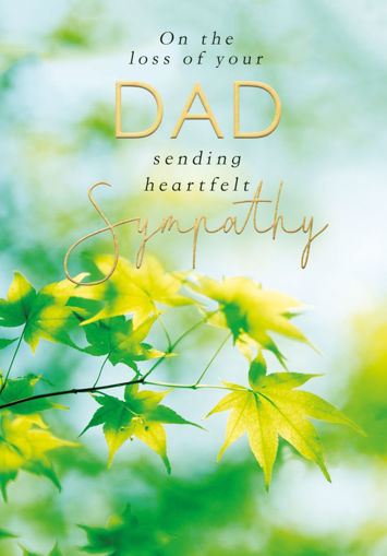 Picture of LOSS OF YOUR DAD SYMPATHY CARD